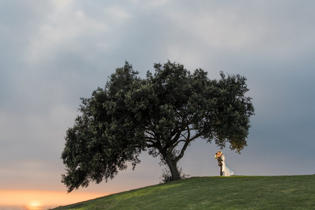 Amenity photo #17