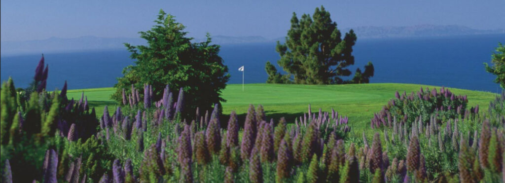 Los Verdes Golf Course Slider Image 5979